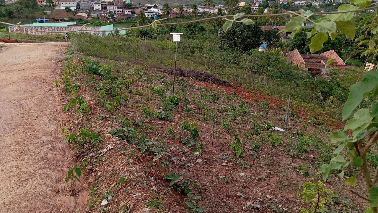 VENDE -SE ESTE TERRENO VALOR 23.000.00 MIL NA VILA MENDES LIMOEIRO-PE ZAP 9-9207-0995