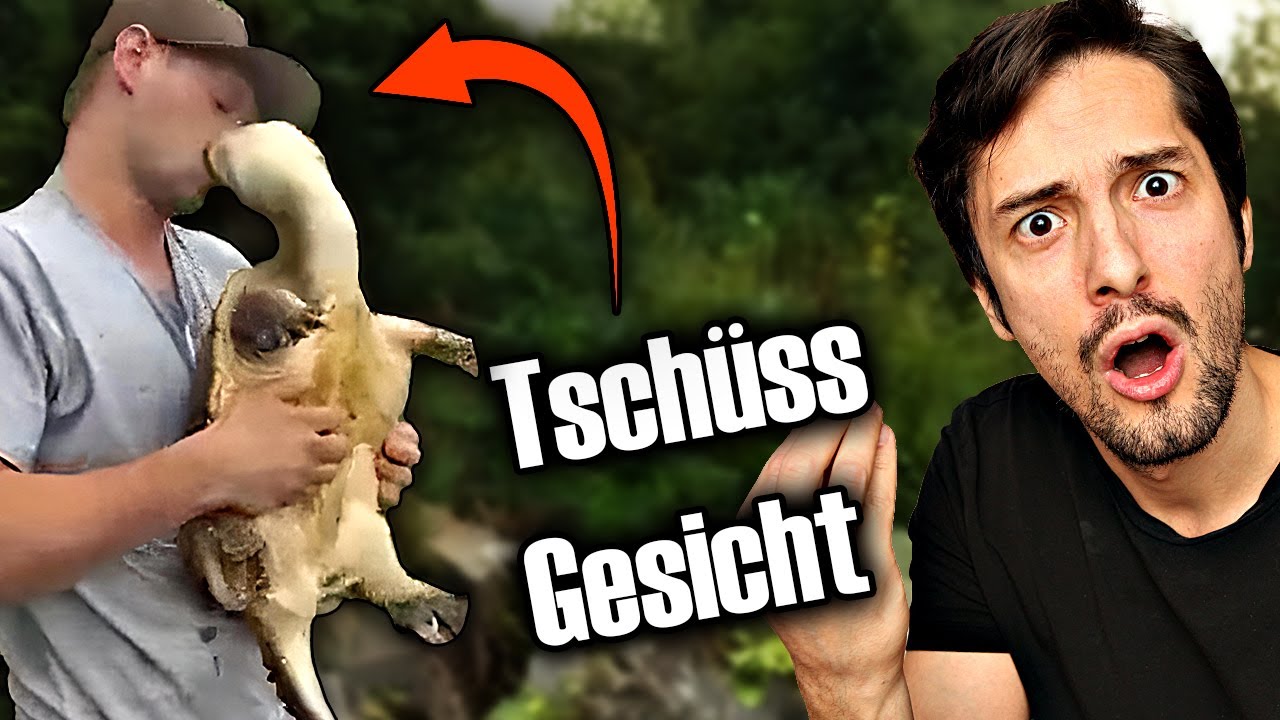 Dumme Menschen VS gefährliche Tiere! Biologe reagiert #3