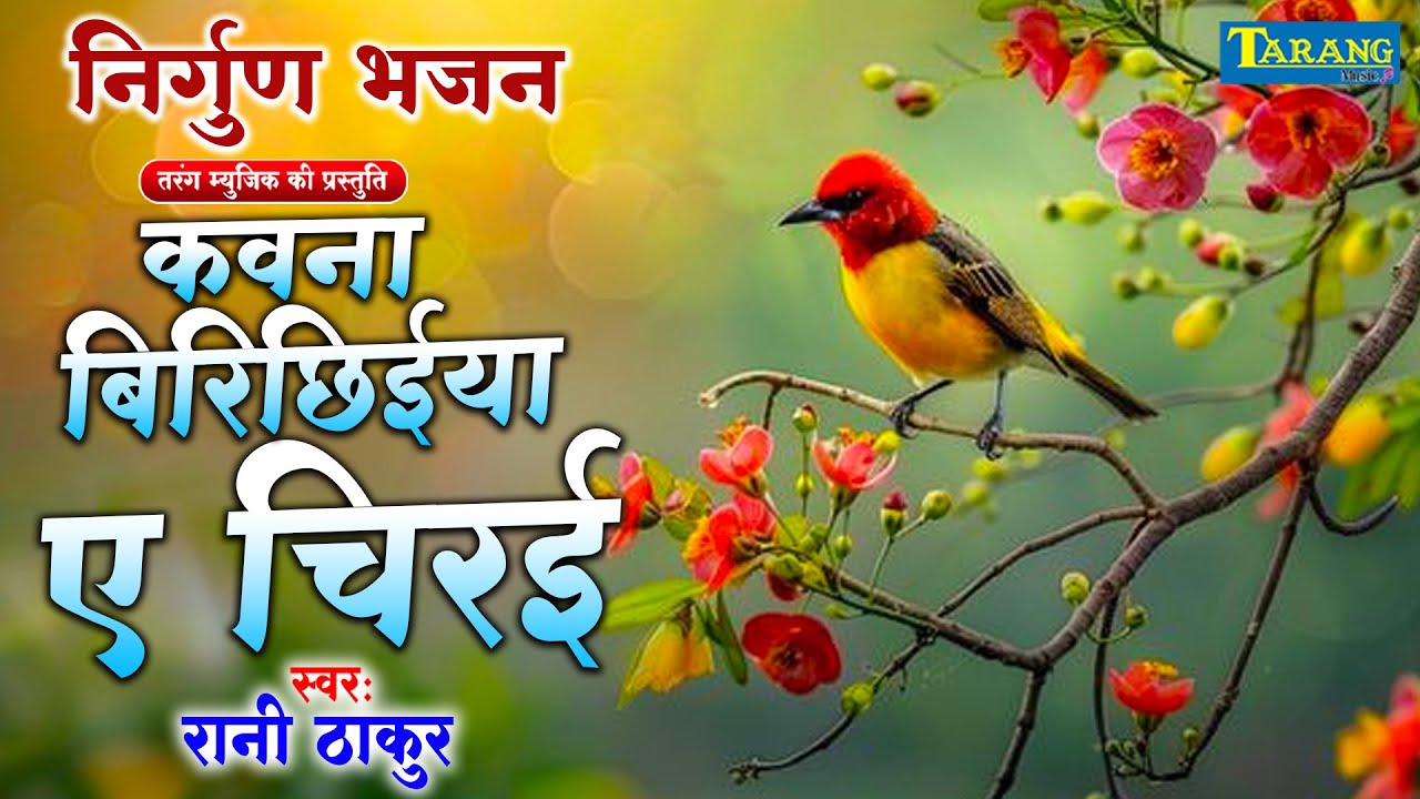 कवना बिरिछिईया ए चिरई | निर्गुण भजन | kawana Birichiya A Chirayi | Rani Thakur | Nirgun Bhajan 2024
