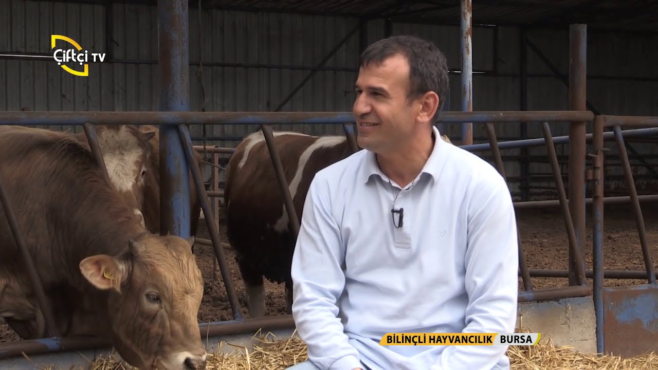 Bilinçli Hayvancılık/Besi Hayvancılığında Bilinmesi Gerekenler