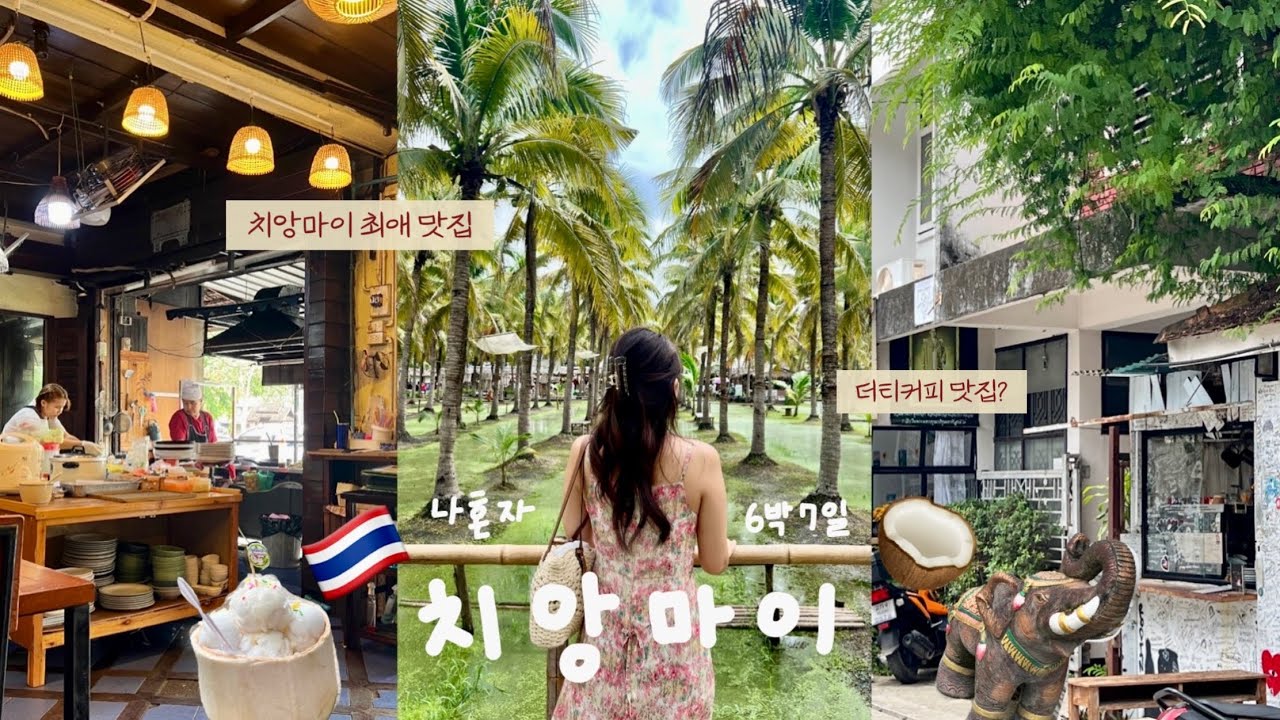 🇹🇭 나혼자 6박7일 힐링 치앙마이 여행 vlog 1탄 🥥 먹깨비의 혼밥 맛집 추천, 감성 카페 ☕️, 주말 야시장 투어 🐘, 100만원으로 치앙마이 일주일 살기🌴