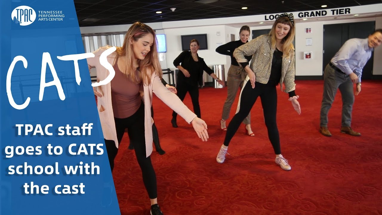 TPAC Goes to Cat School!
