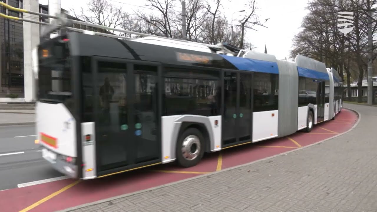 TLT вновь набирает водителей общественного транспорта