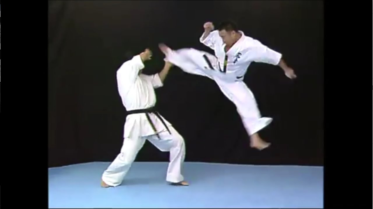 【新極真会】緑健児代表直伝「カウンターの廻し蹴り・後ろ廻し蹴り」   SHINKYOKUSHINKAI
