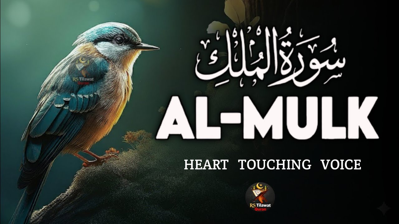 Surah Al Mulk By Abdullah Ahmed Shaaban |Surah Al Mulk Full | Beautiful Recitation | Surah Mulk