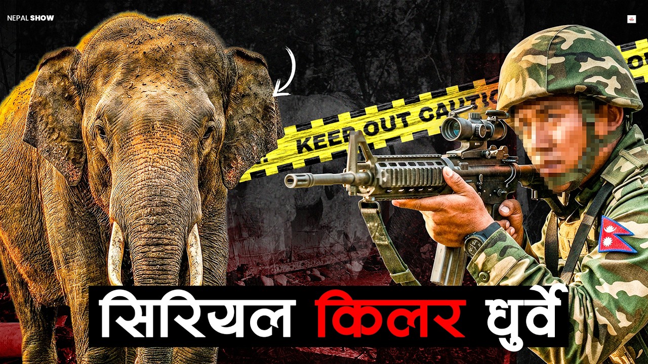 An Elephant Dodging Army Fire and Causing Chaos: The Story of Dhurbe