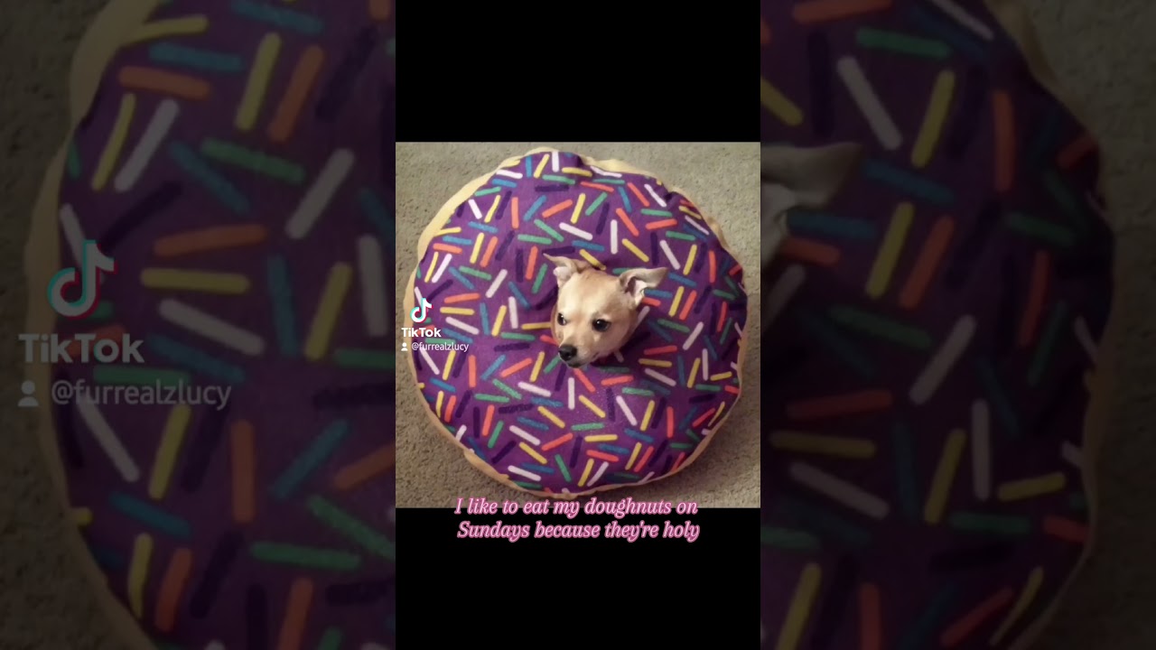 Sunday Doughnuts 🍩 