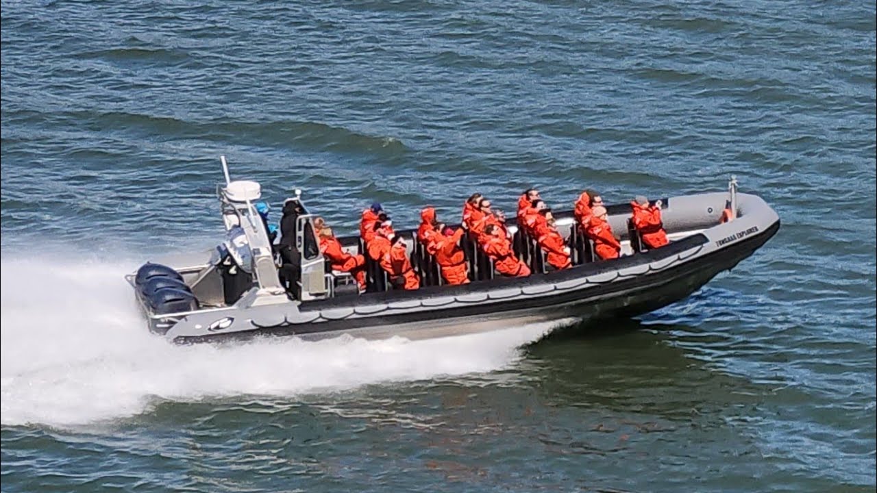 Skagway Fast Boat Tours - Ocean Raft Wildlife Adventure