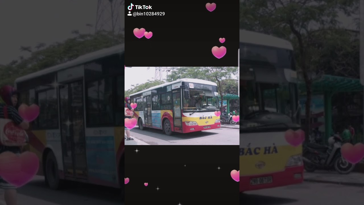 Bus 41