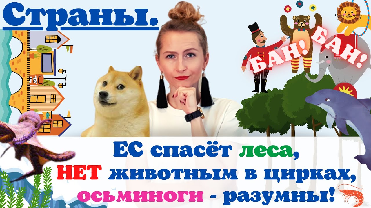 ХОРОШИЕ НОВОСТИ #33: страны за леса и права животных: осьминоги, собаки, дельфины! #хорошиеновости