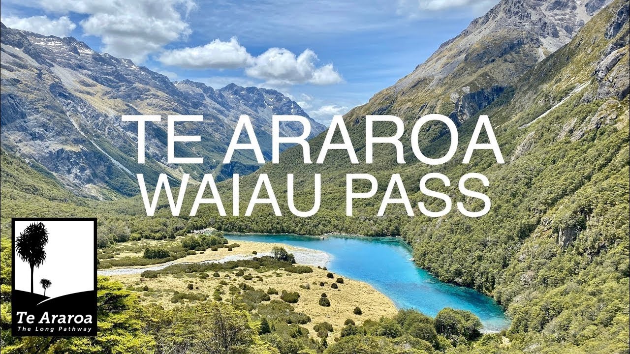 Te Araroa 21: Waiau Pass