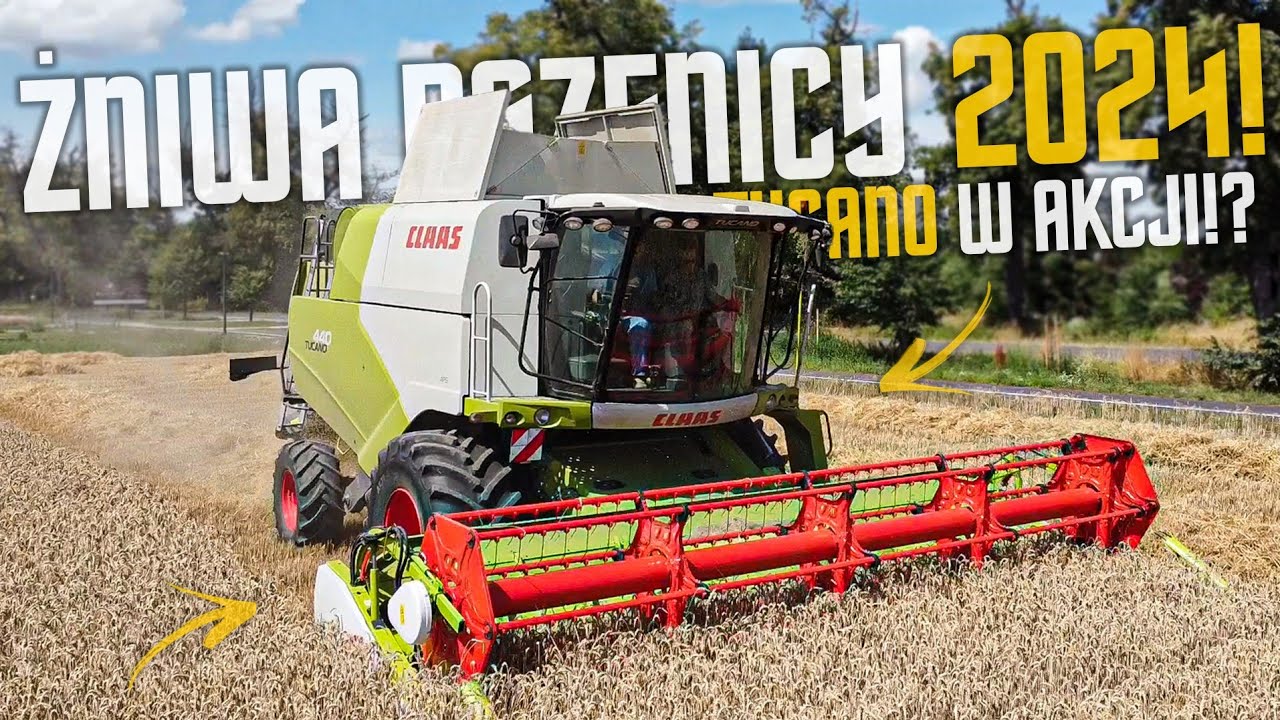☆Pierwsi We Wsi!?☆Żniwa Pszenicy 2024!☆Claas Tucano 440 W Akcji!?☆2x Ursus C-330 & C-360 3p☆