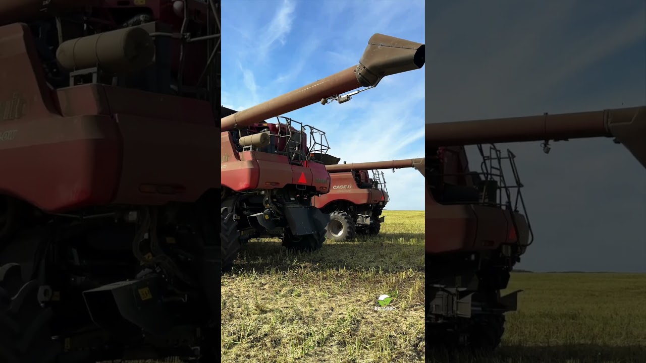BHK AGRO официальный дилер техники New Holland и Case в Казахстане