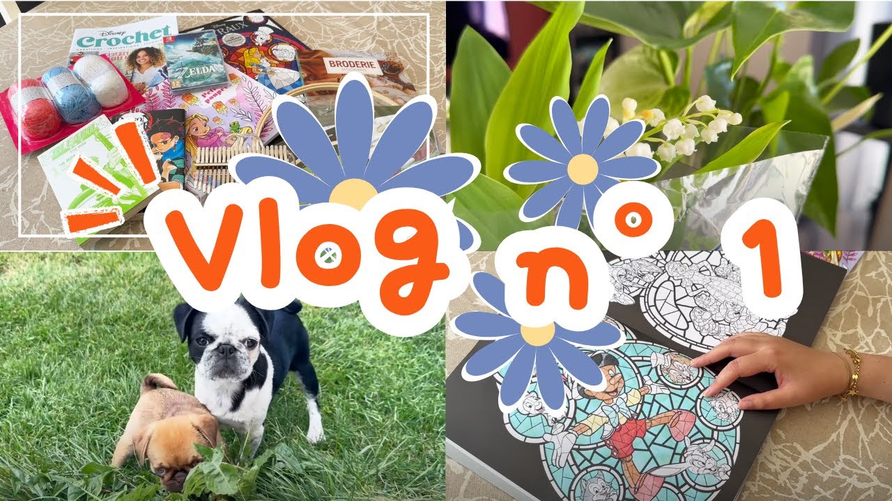 Vlog n°1 - Mes 🐶 et du colo 🎨