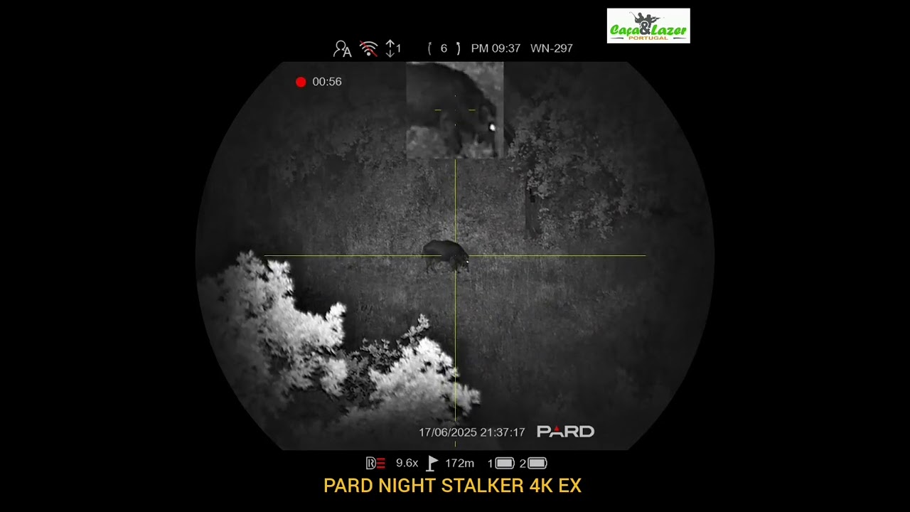 PARD NIGHT STALKER 4K EX - Javali 170mt