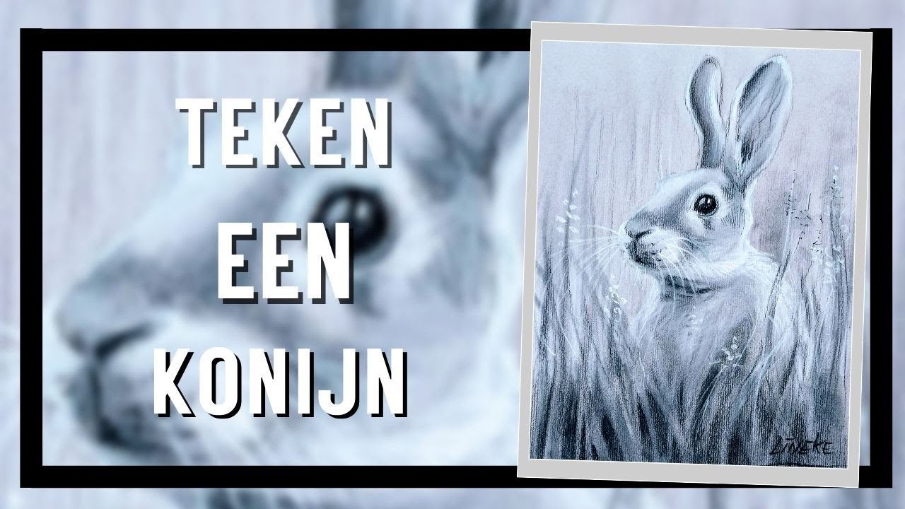 Hoe teken je een Konijn met Pastel potlood