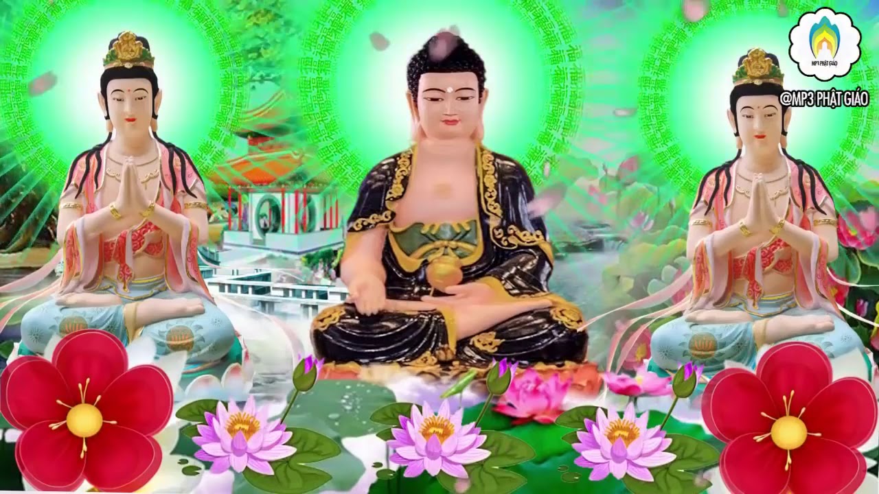 Kinh Tụng Cực Hay - Thầy Th&iacute;ch Huệ Duy&ecirc;n Tụng rất Hay