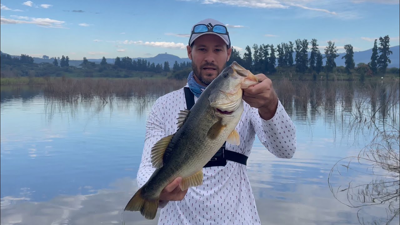FISH can't RESIST this bait. Bass Fishing South Africa, Albert Falls Dam.