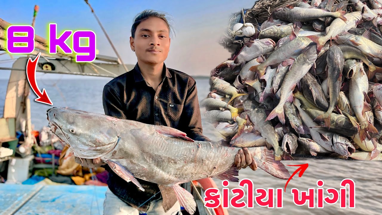 8 kg નો કાંળયો ખાંગો પકડી યો 🐡કાંટીયા ખાંગી પકડી 🐠
