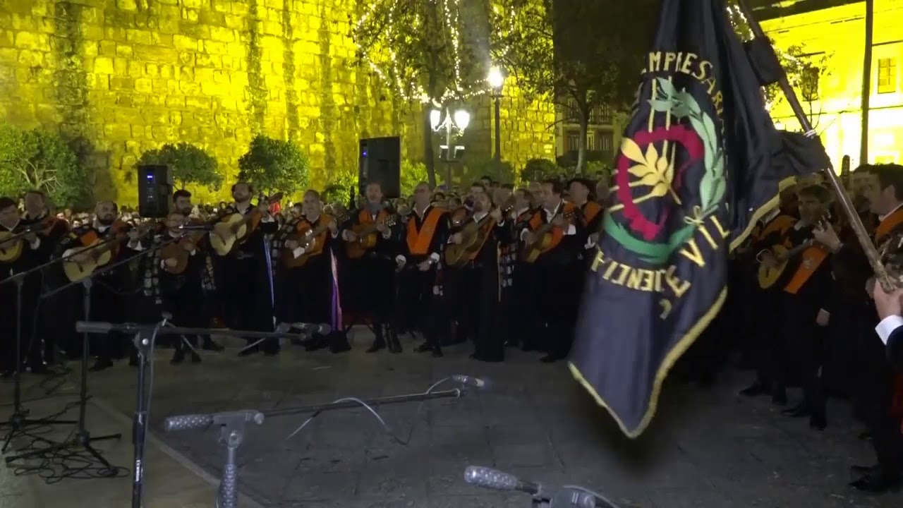 Inmaculada 2019: Elsa (vídeo: Manuel Rosa)