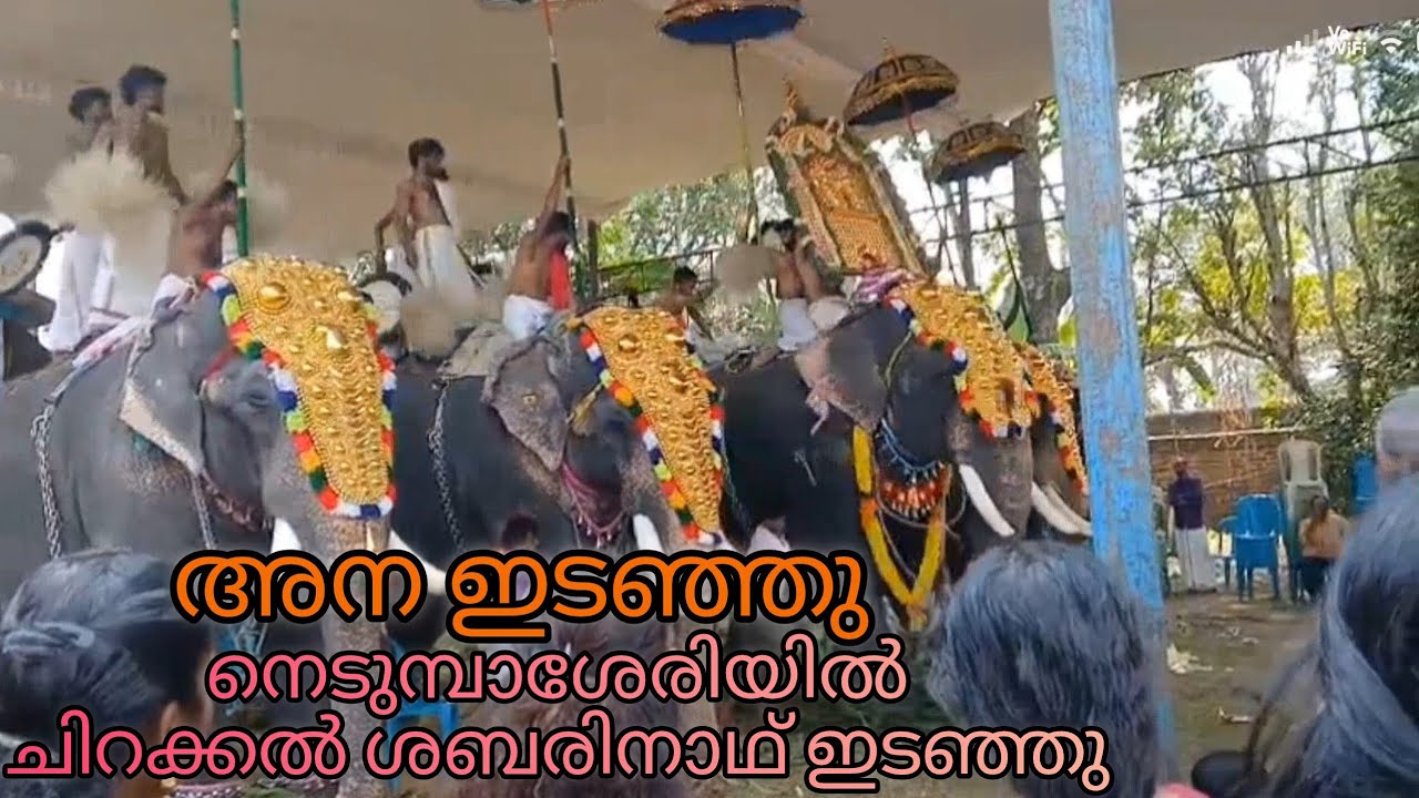 Elephant Attack in Nedumbassery Temple #elephantattack