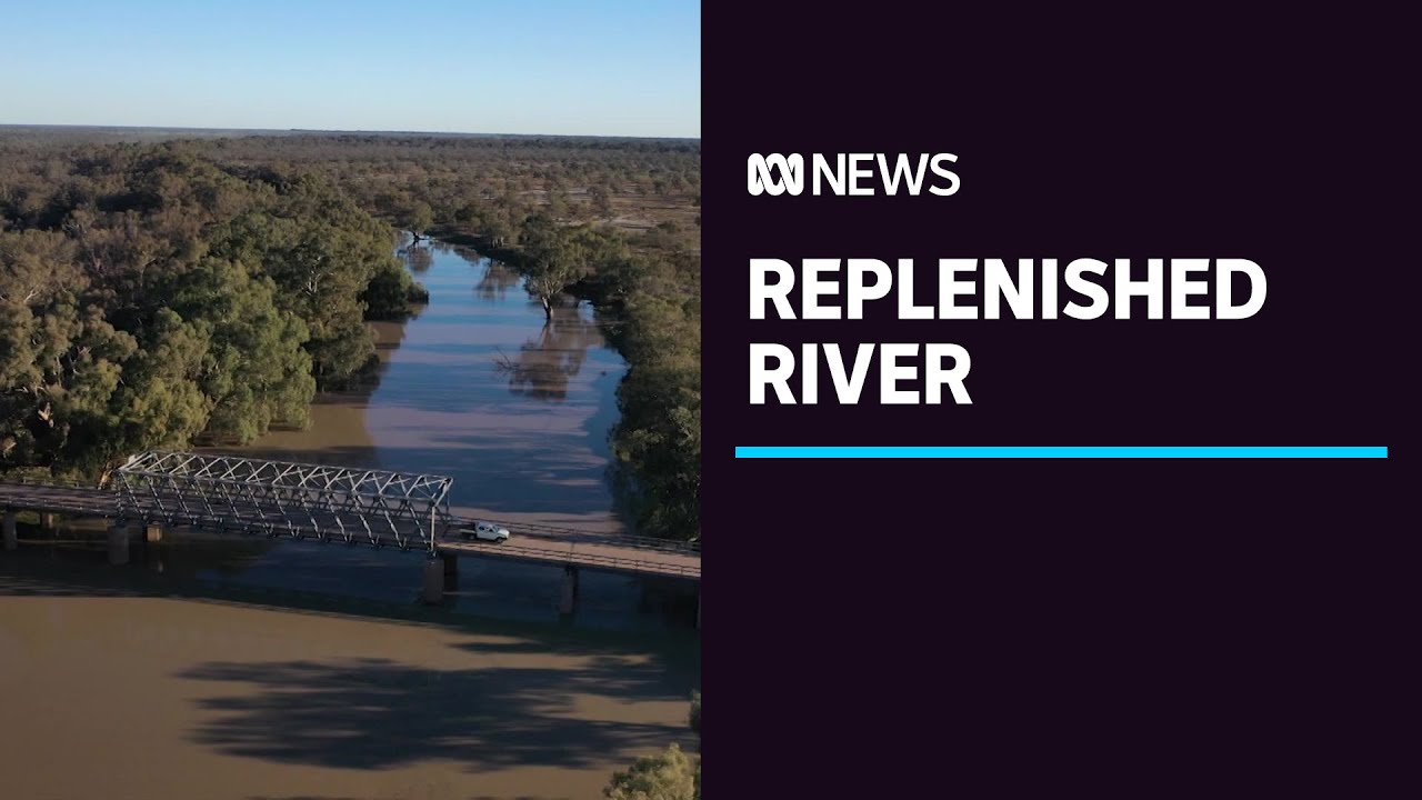Communities in western NSW re-energised as major flow makes its way down Darling River | ABC News