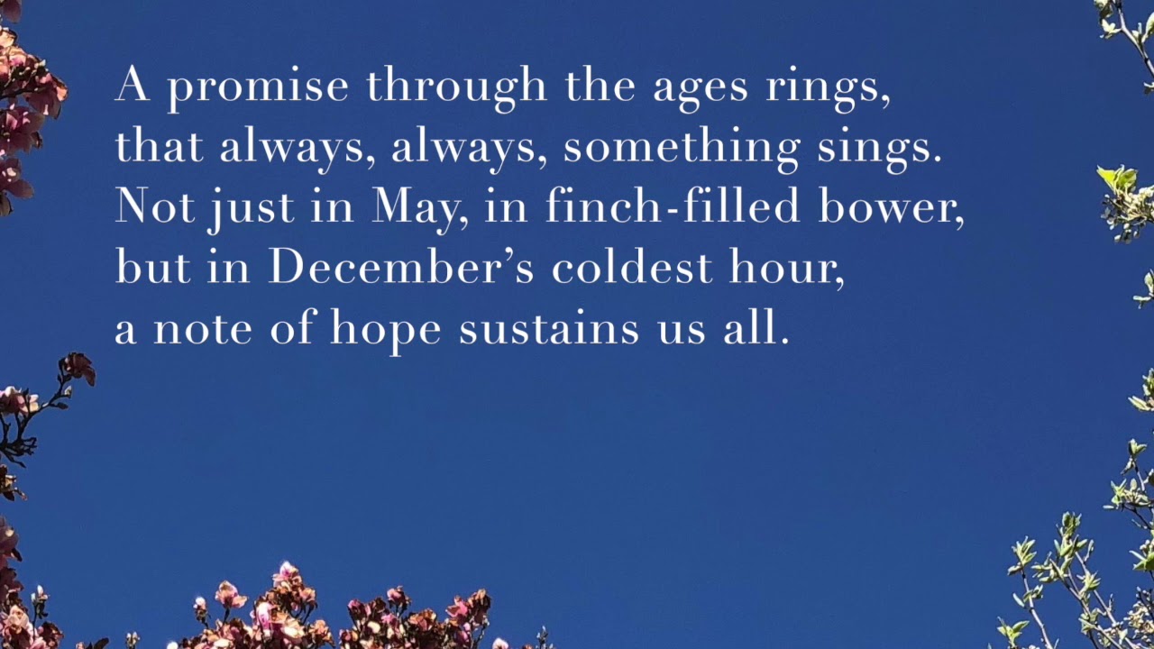 Hymn - A Promise Through the Ages Rings