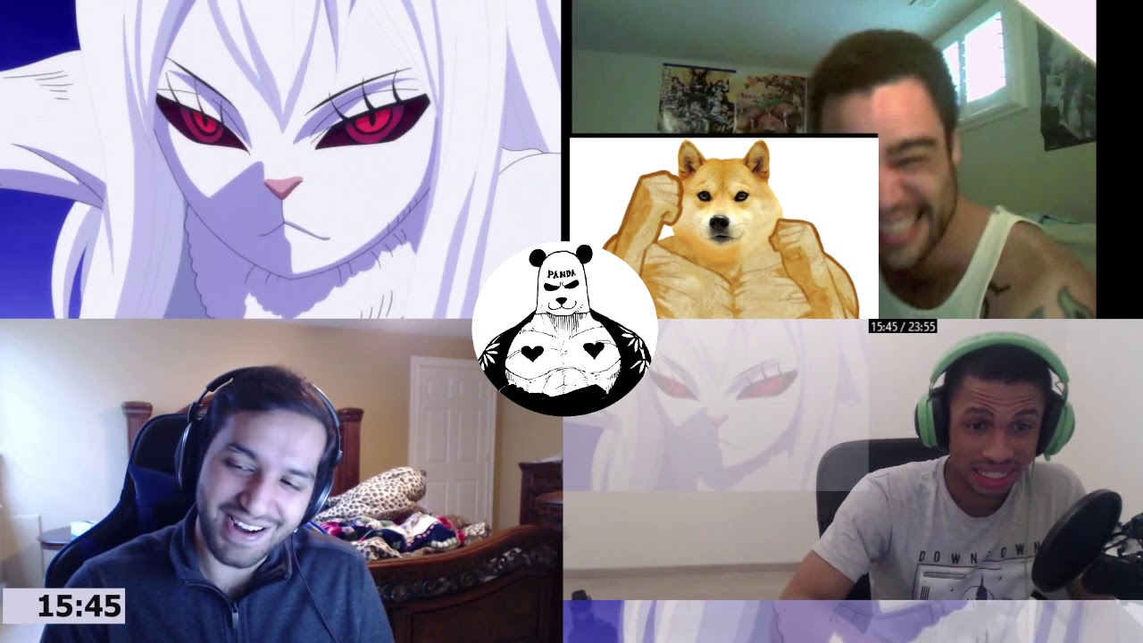 Carrot Sulong Transformation Reactions Mashup - one piece