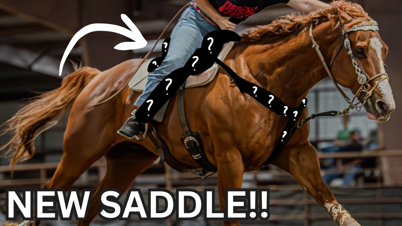 МОЕ НОВОЕ ОБЛЕГЧЁННОЕ СЕДЛО! Распаковка Master Saddles!