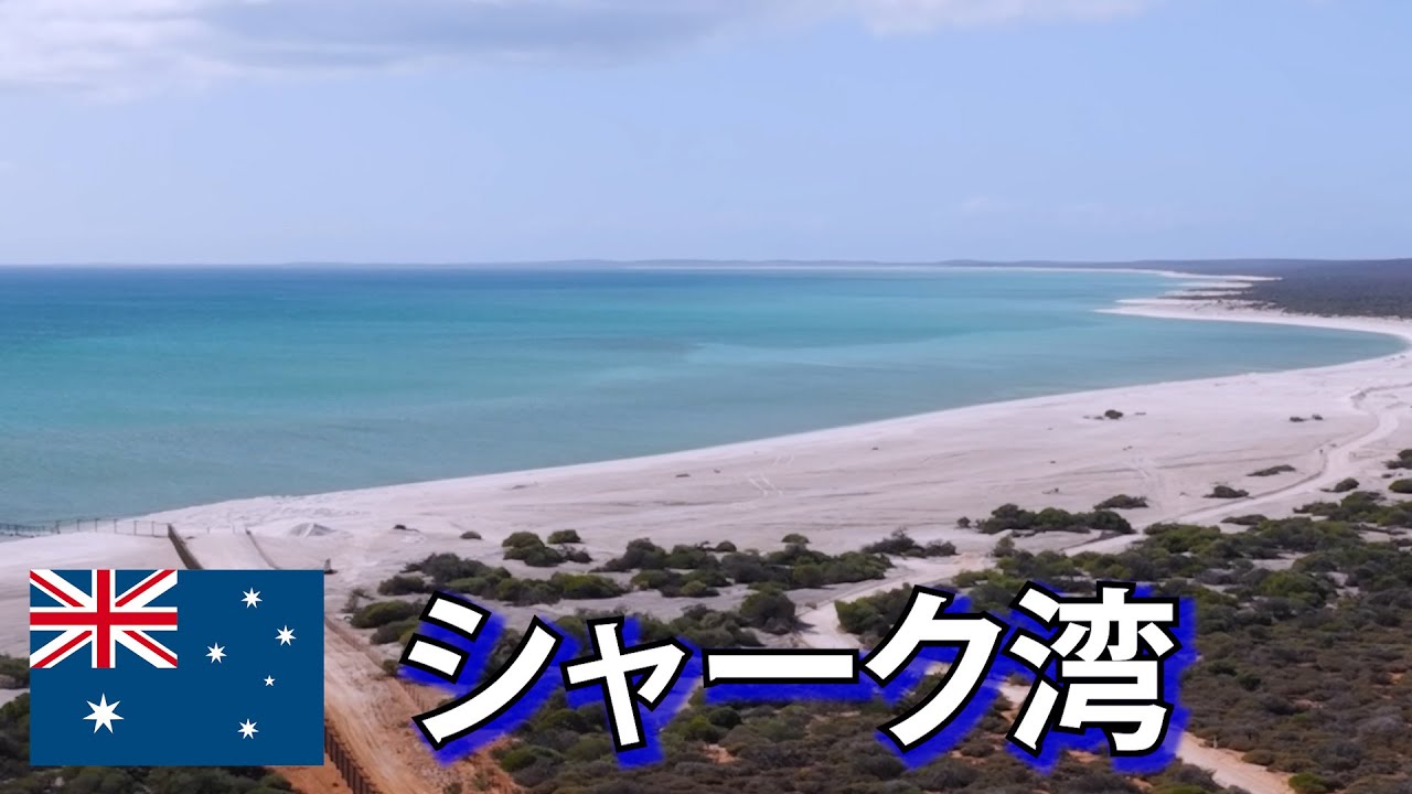旅するように学ぶ世界遺産『シャーク湾』