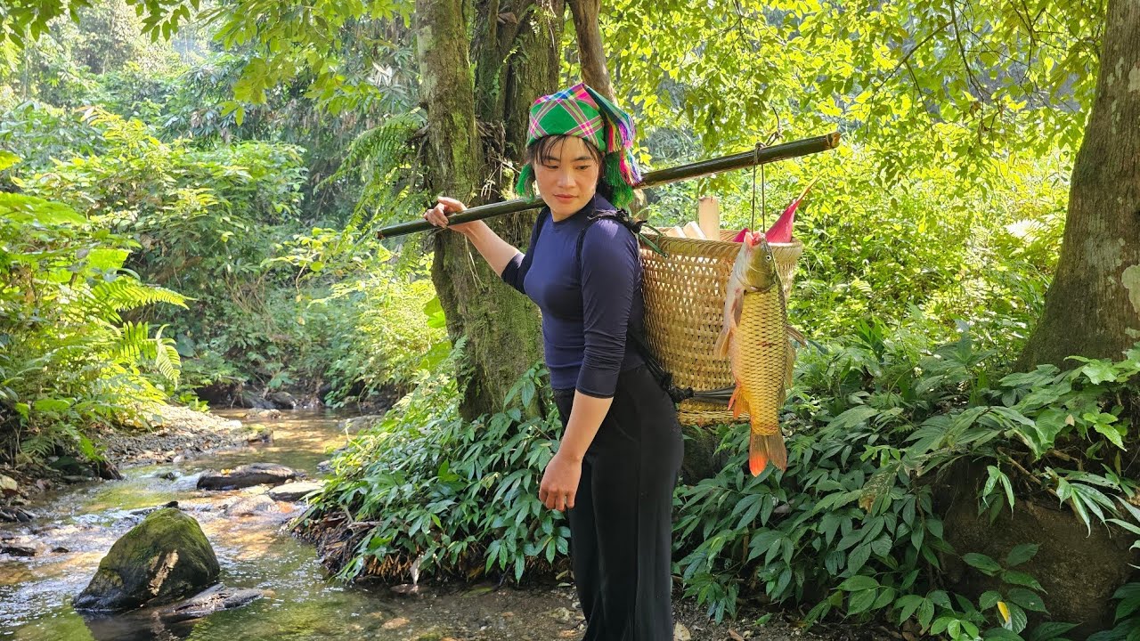 Single mother - Going into the forest to find food, luckily caught a giant carp