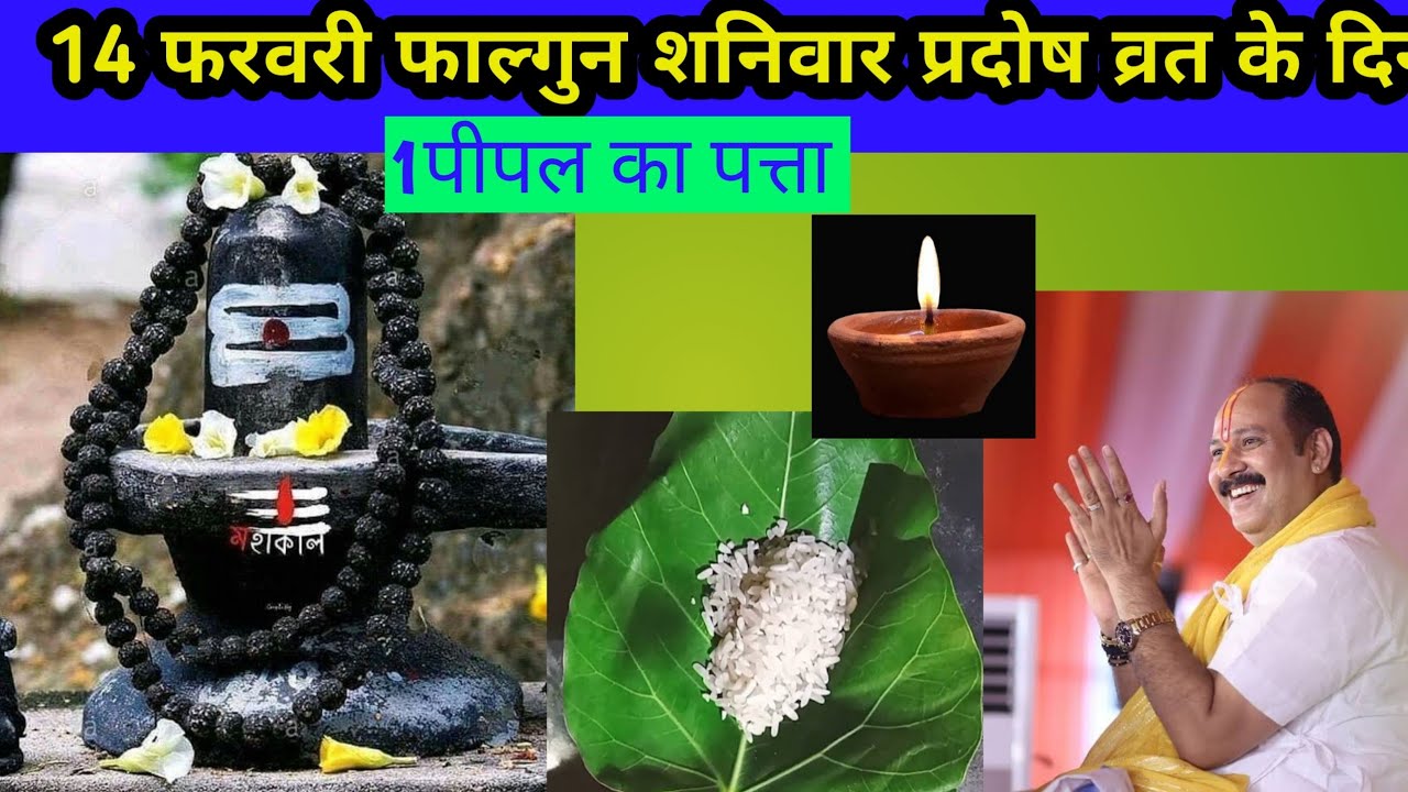 14 फरवरी फाल्गुन शनिवार प्रदोष व्रत के दिन 1 पीपल का पत्ता वाला उपाय जरुर करें|pandit pradeep mishra