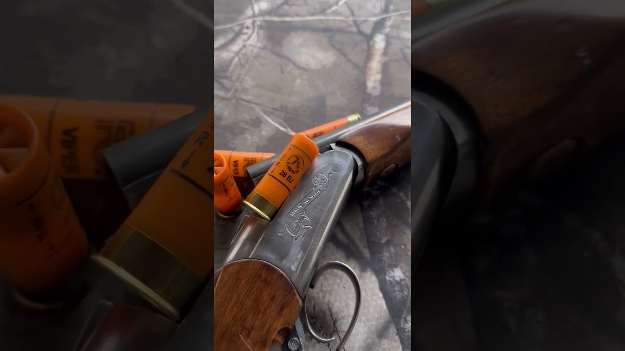 Old Russian single-shot shotgun #budakeszilőt&eacute;r #shotgun #russianrifle #12gauge #shooting