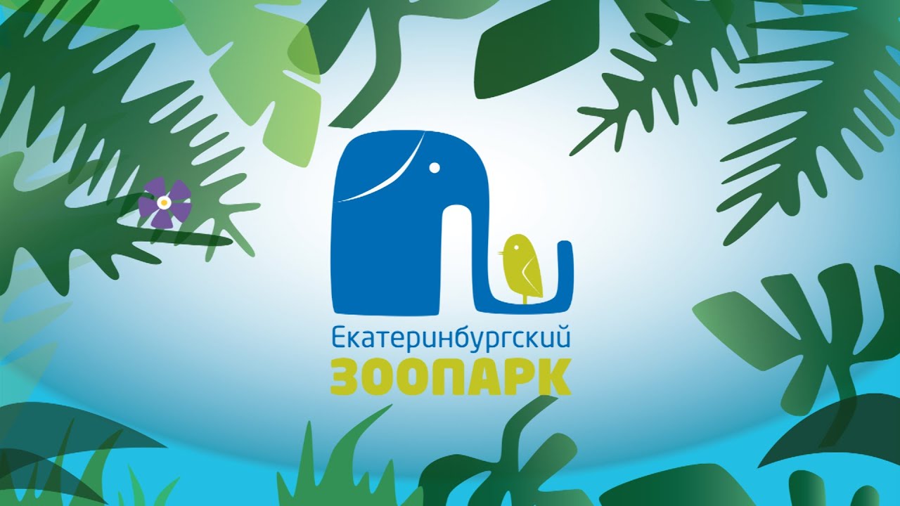 Фильм 