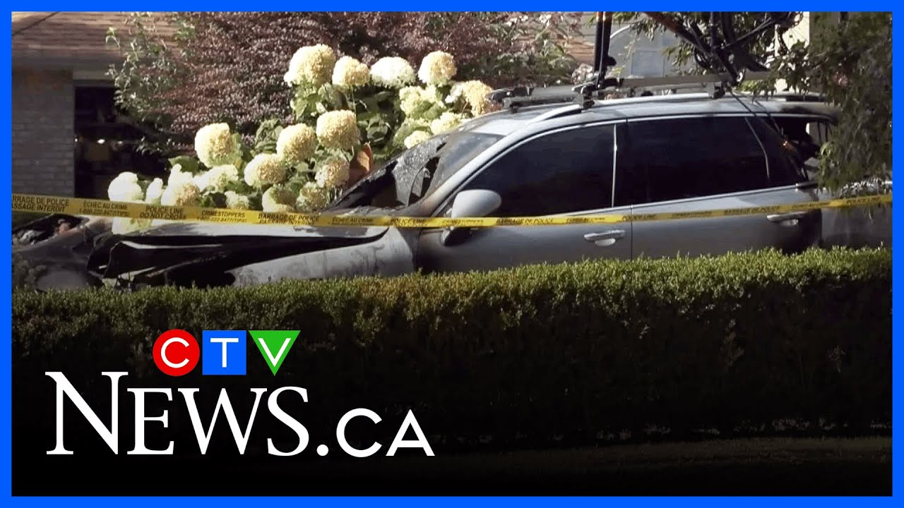 B.C. couple and dog killed in ‘dispute among neighbours’