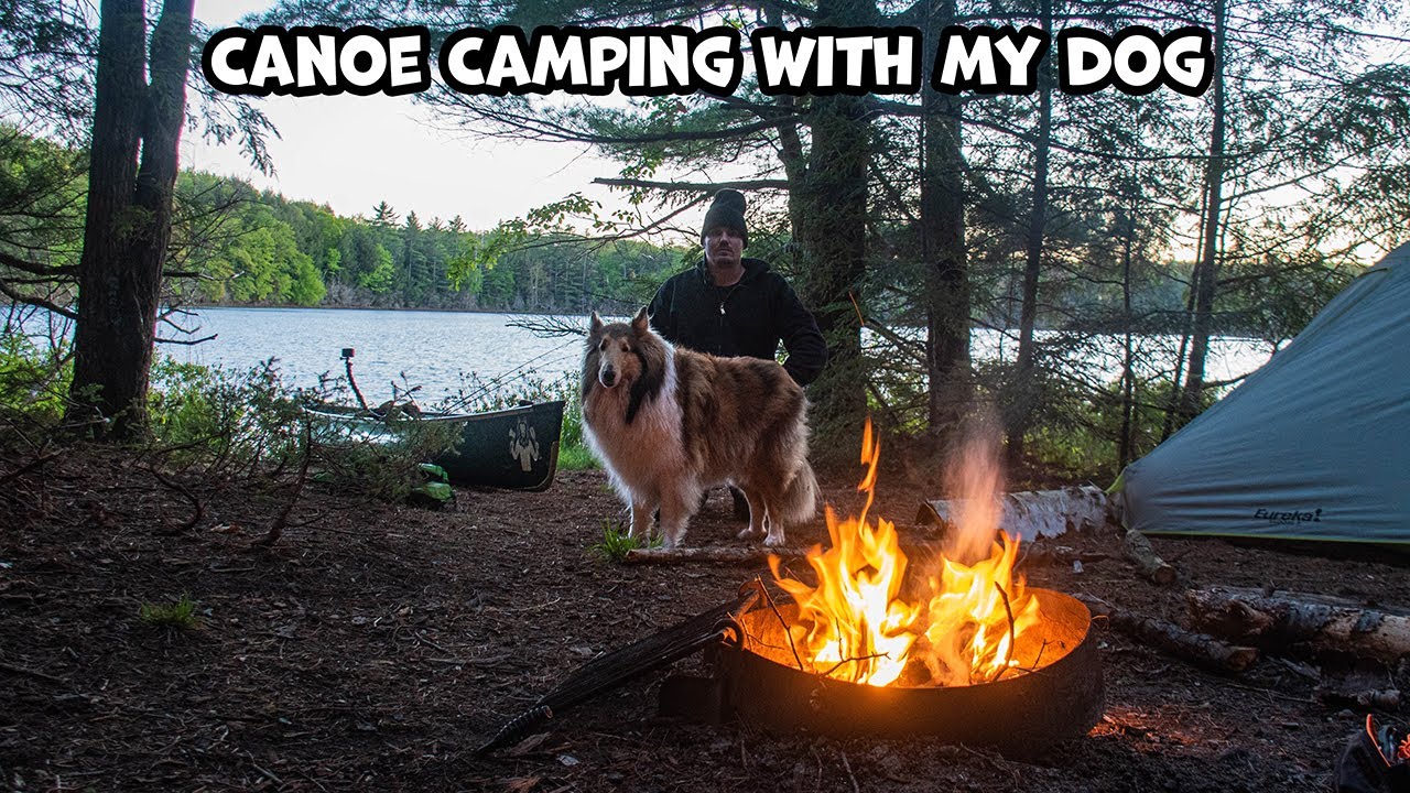 Overnight Canoe Camping With My Dog, Fishies and Thieves
