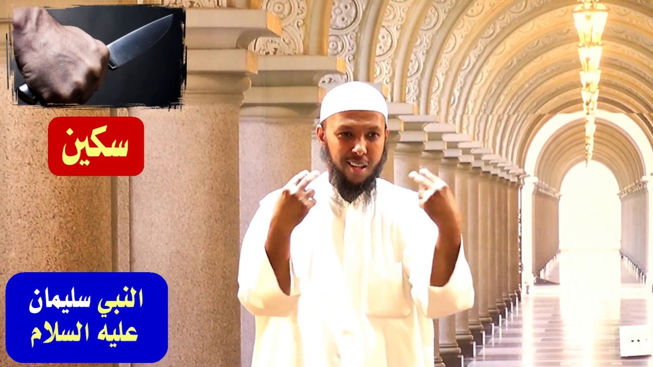قصص مفيدة عن العلم