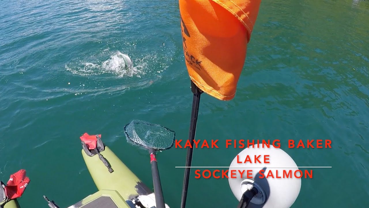 Baker Lake Sockeye Salmon || Kayak Fishing|| 18 July 2020
