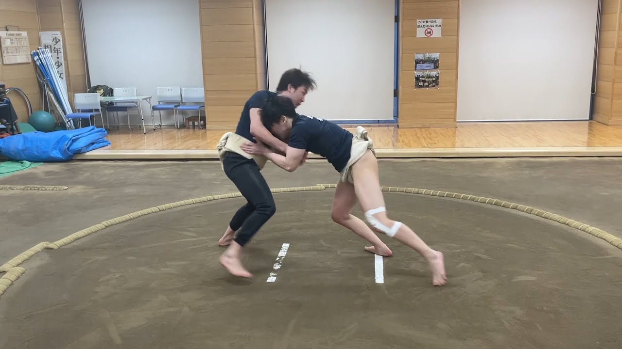 Пробовал Sumo со студентами Токийского университета.
