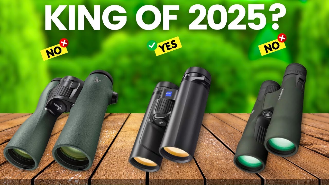 6 Best Binoculars 2025