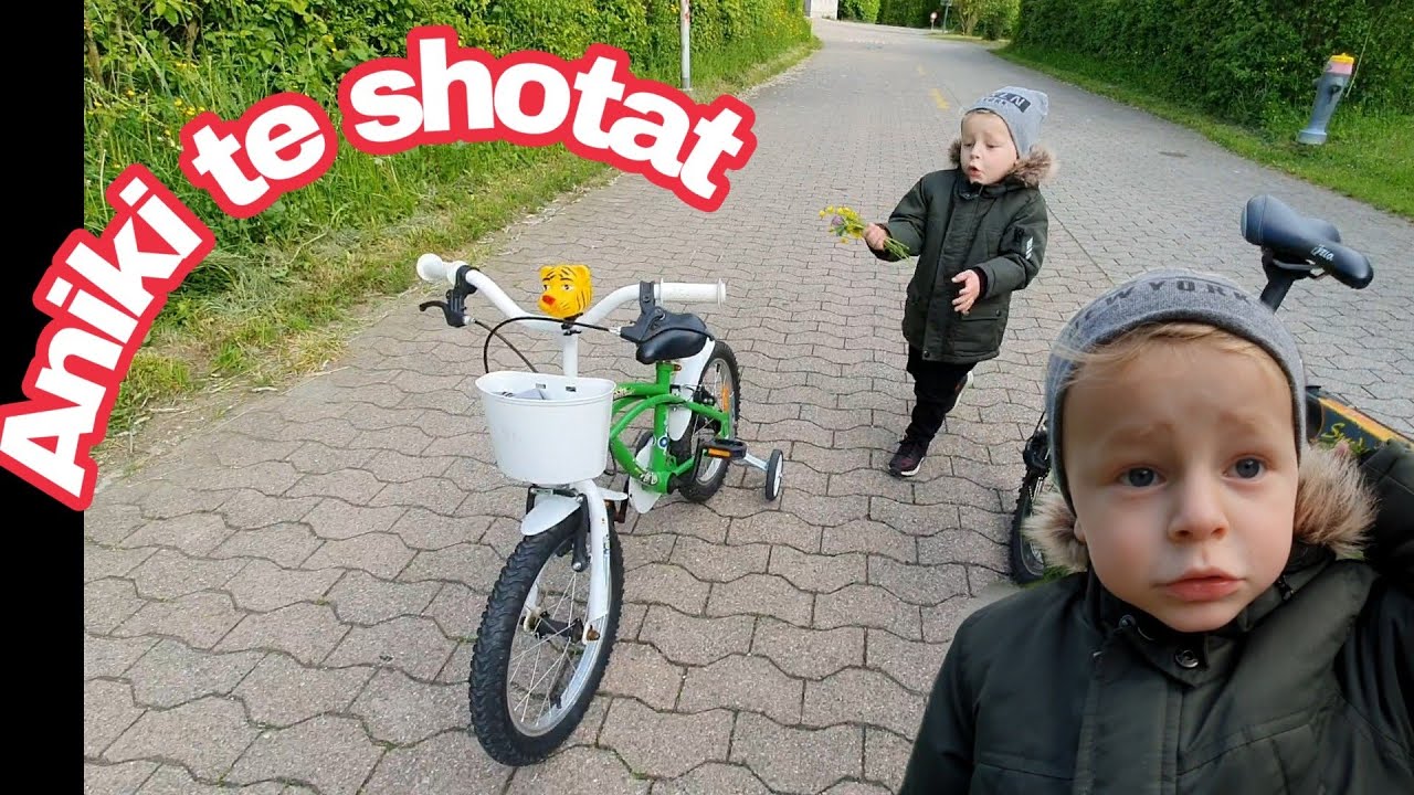 #vlogi
