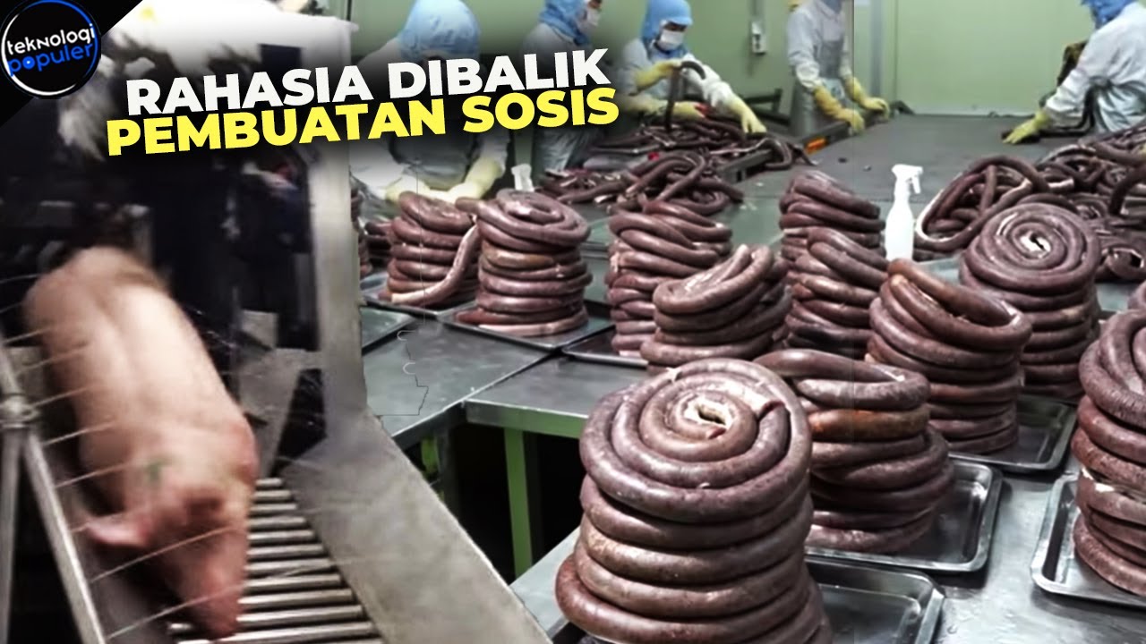 SERING MAKAN TAPI GAK TAU PROSESNYA! Inilah Rahasia Dibalik Pabrik Produksi Makanan Siap Saji