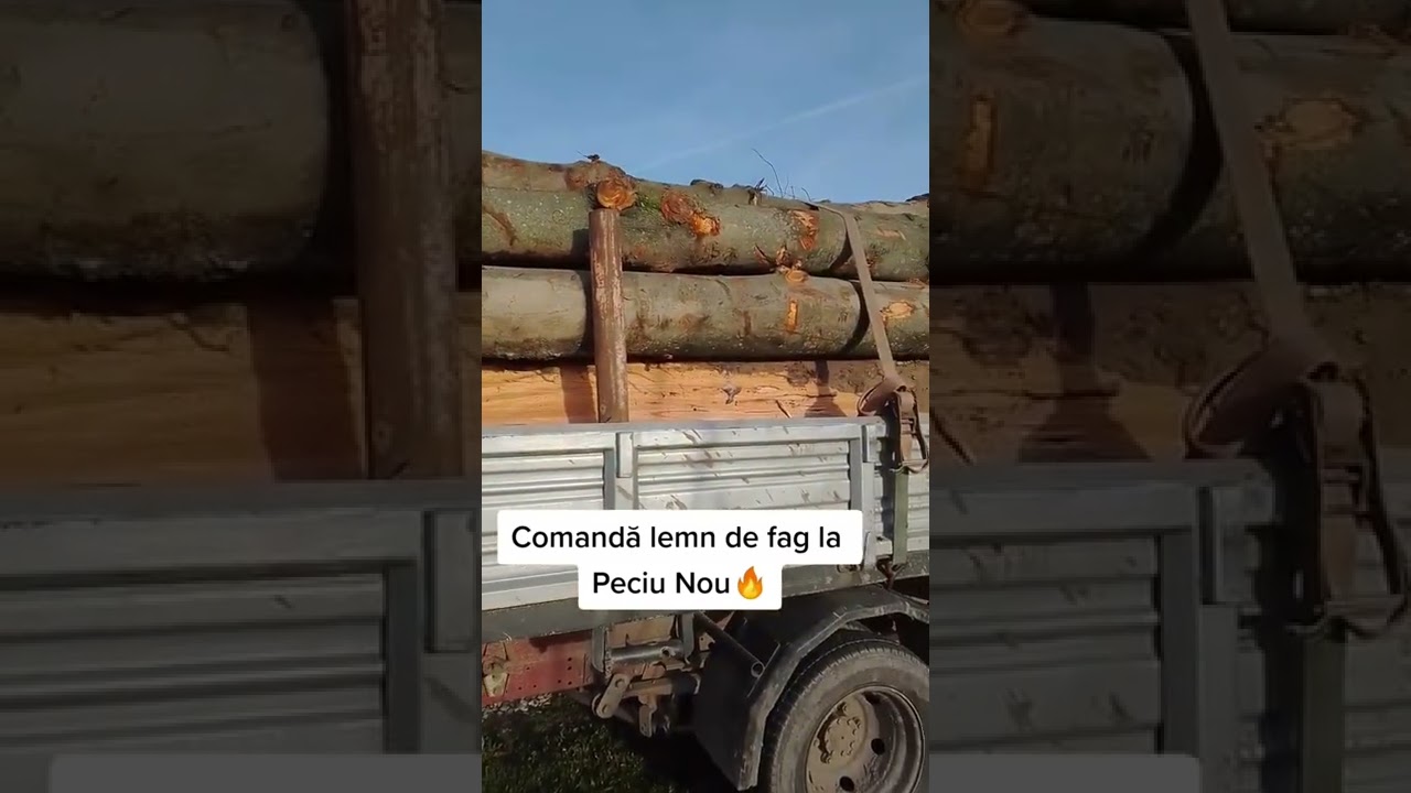 Lemn de FAG la Peciu Nou
