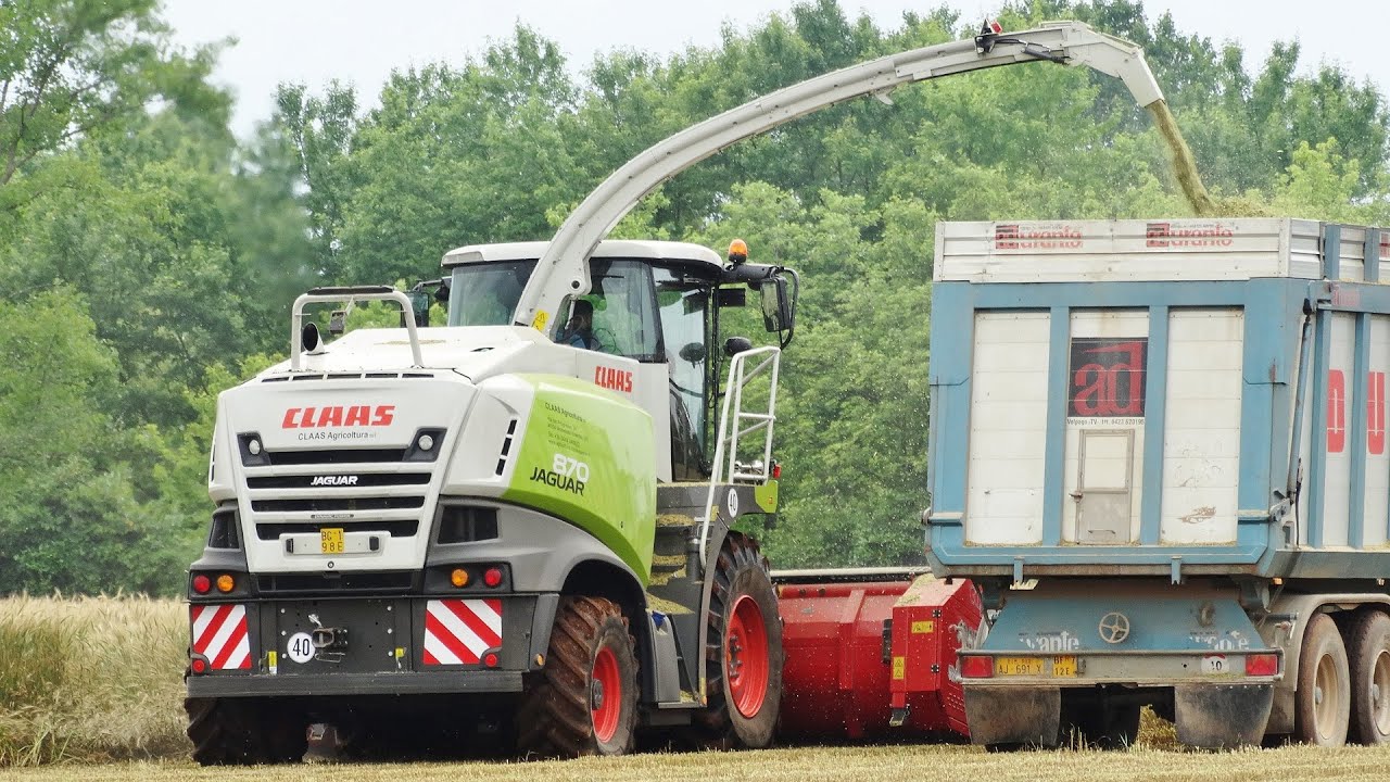 Triticale Silage | NEW Claas Jaguar 870 + Capello Spartan 520 | Fendt 936/824 + Same Virtus 120