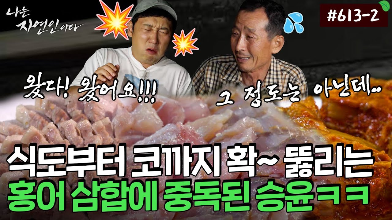 이건 찐이다!! '홍어광' 자연인이 준비한 홍어 삼합 요리에 혼쭐난 승윤 ㅋㅋㅋ｜자연인 다시 보기 613-2