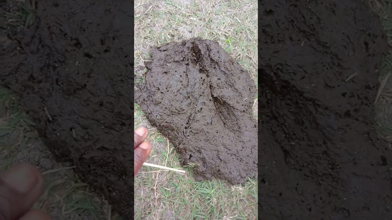 OGUN ASEGBE TODAJU /WHATSAPP 07064294474#yorubanation #okele #obasolomon #taniolorun#woliagba