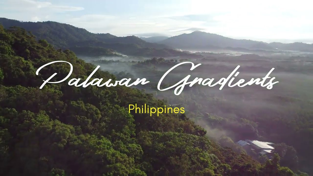 El Nido, Palawan - Phillipines - Drone 4K
