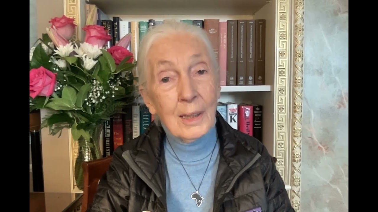 Dr. Jane Goodall urges EU not to abandon animal welfare promises