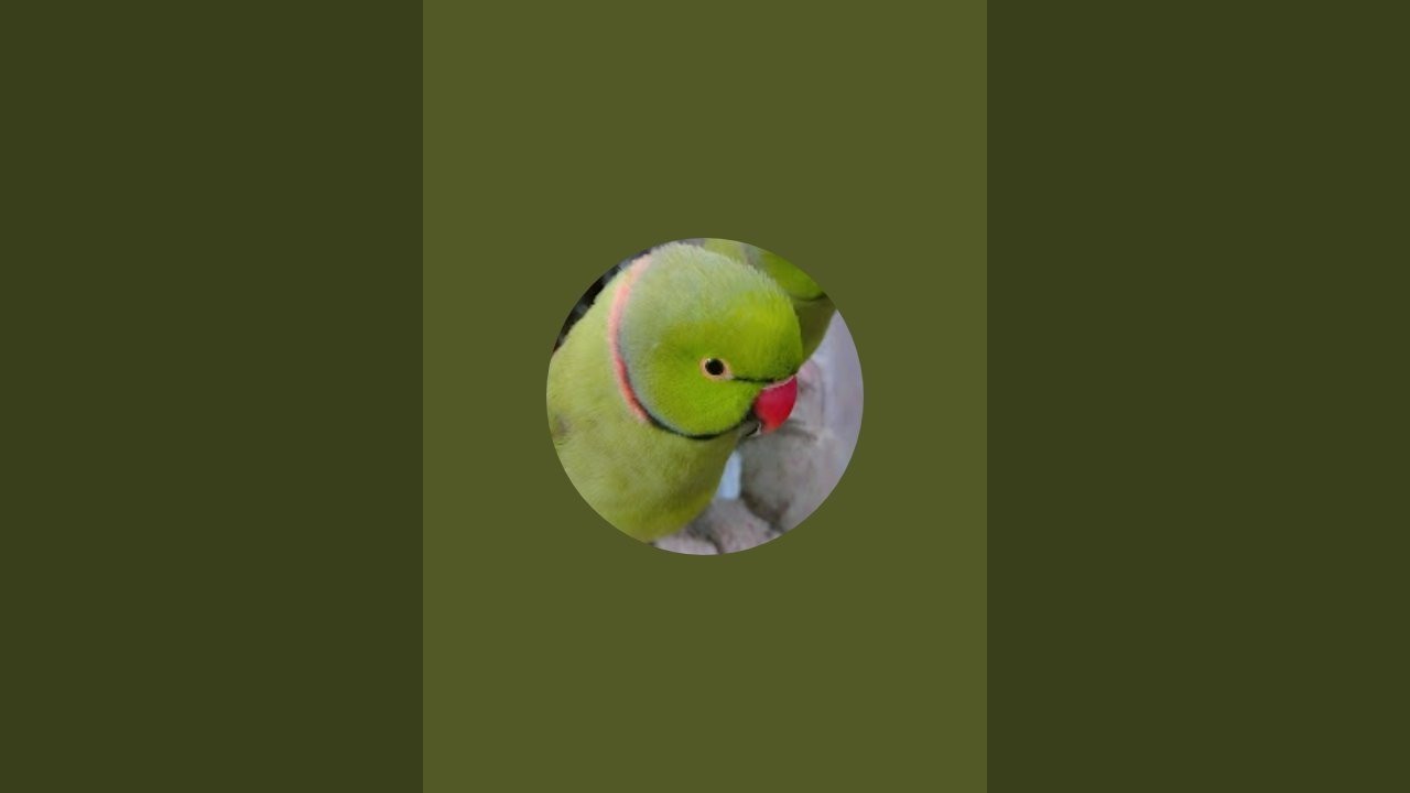 ParrotVerse is live!
