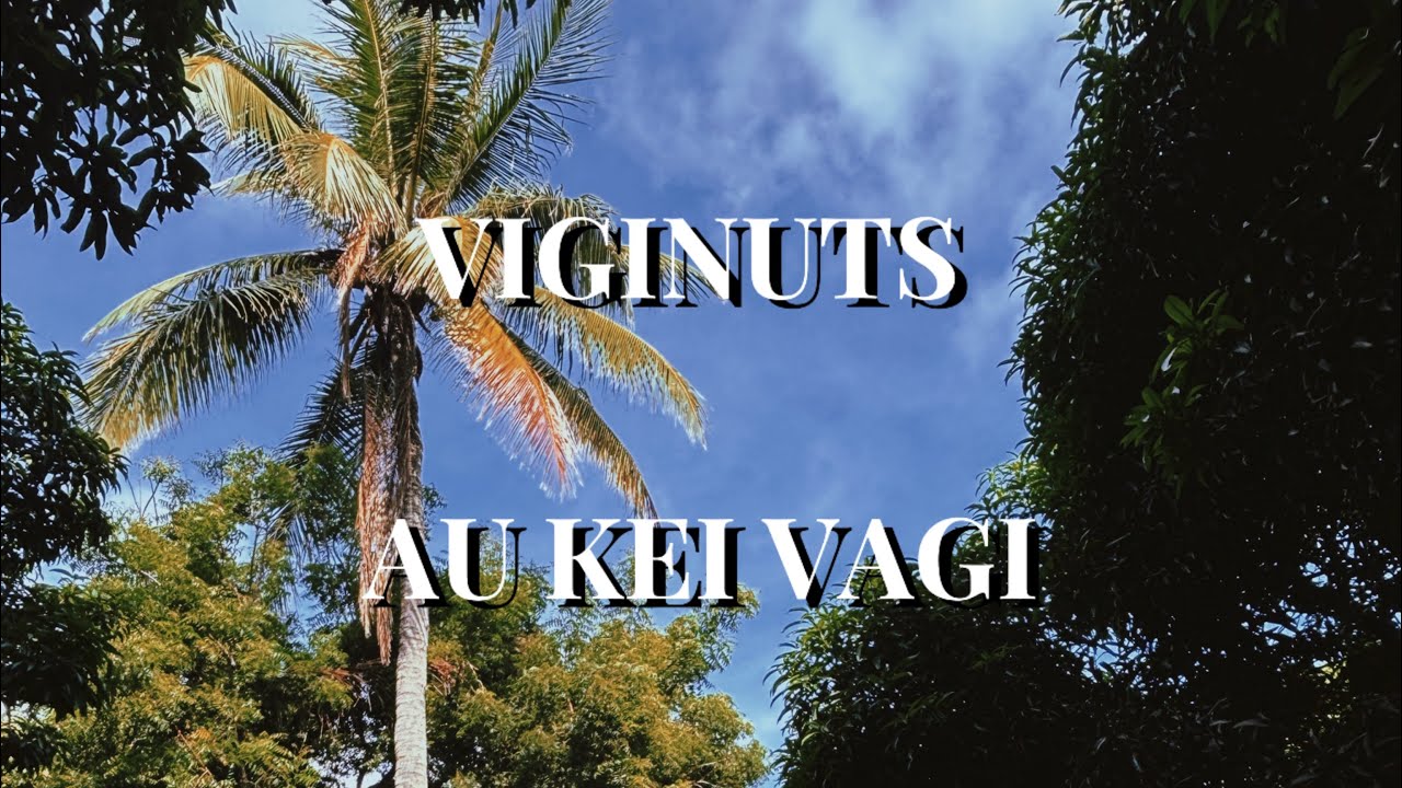 Viginuts - Au Kei Vagi